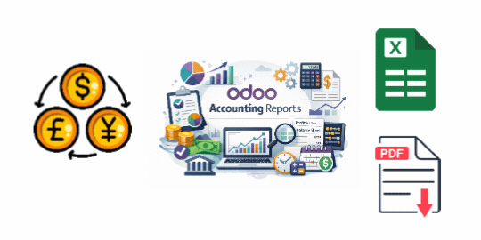 Multi Currency Account Reports